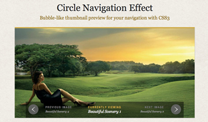 Circular navigation viewer