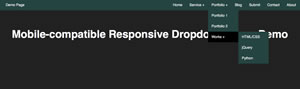 Pure CSS Responsive Dropdown Navigation